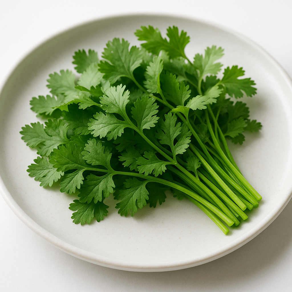 Cilantro